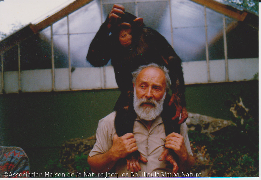 images/stories/Simba et Chimpanse.jpg